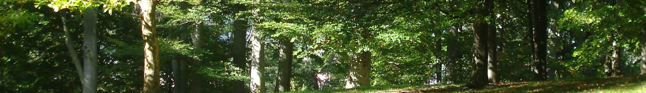 Wellesley Amateur Radio Society